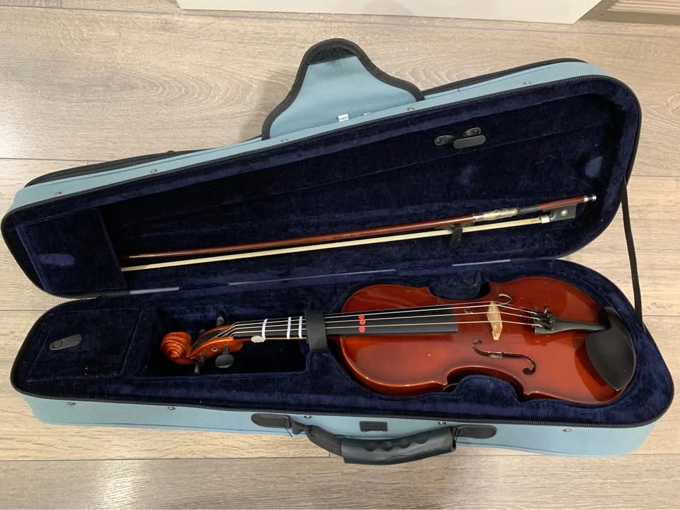 Beginner Violin Easter 1/2 - photo 3