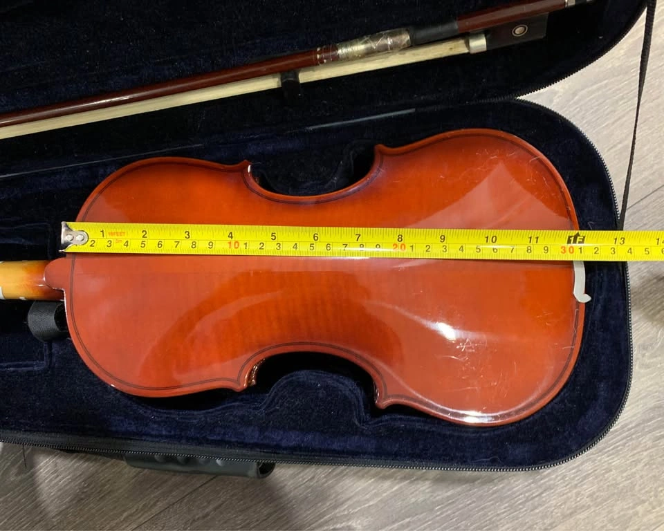 Beginner Violin Easter 1/2 - photo 5