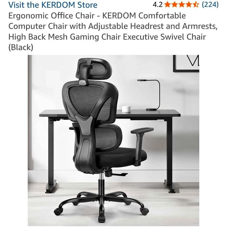 KERDOM Ergonomic Office Chair