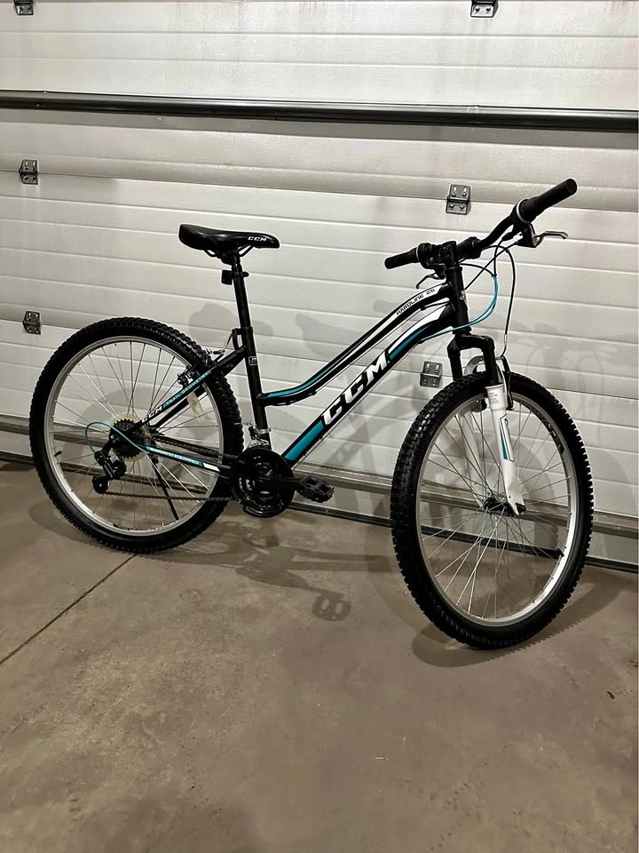 Mountain Bike