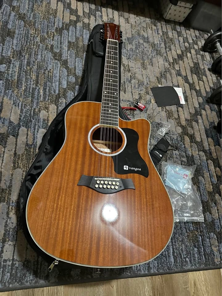 12 Strings Electric Acoustic Guitar
