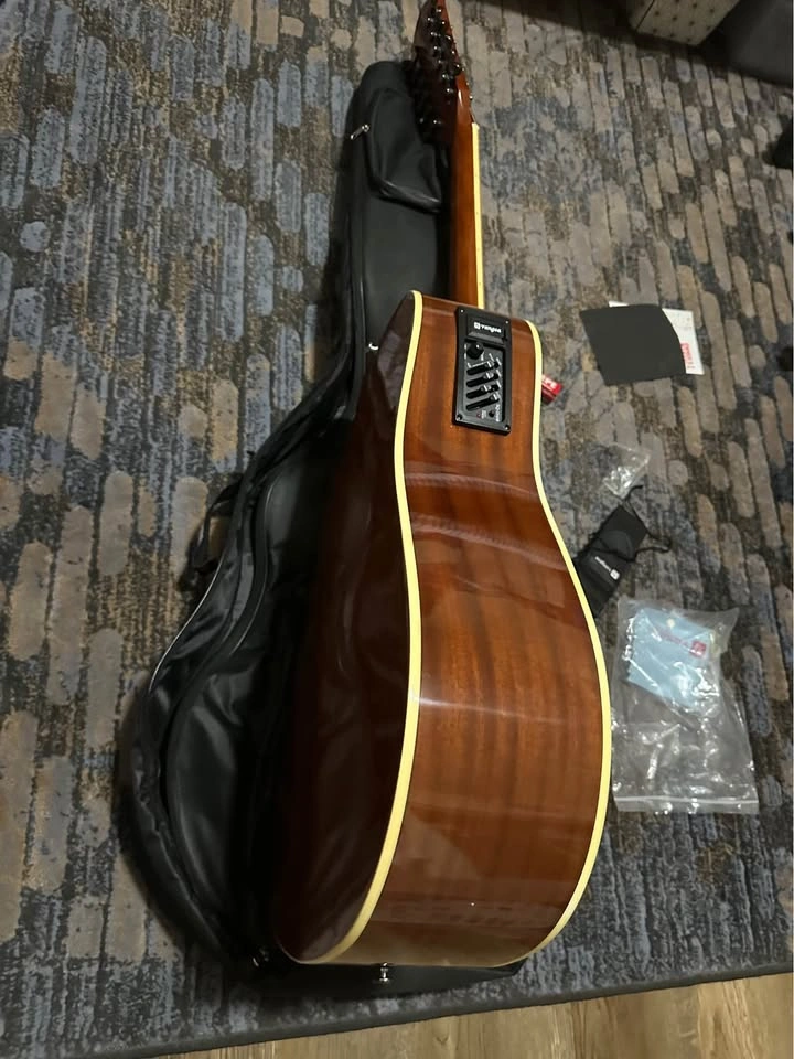 12 Strings Electric Acoustic Guitar - photo 3
