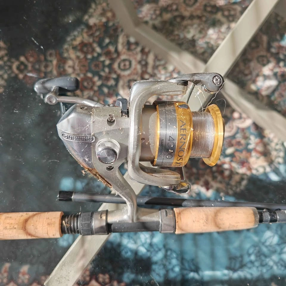 Shimano spinning rod and reel
