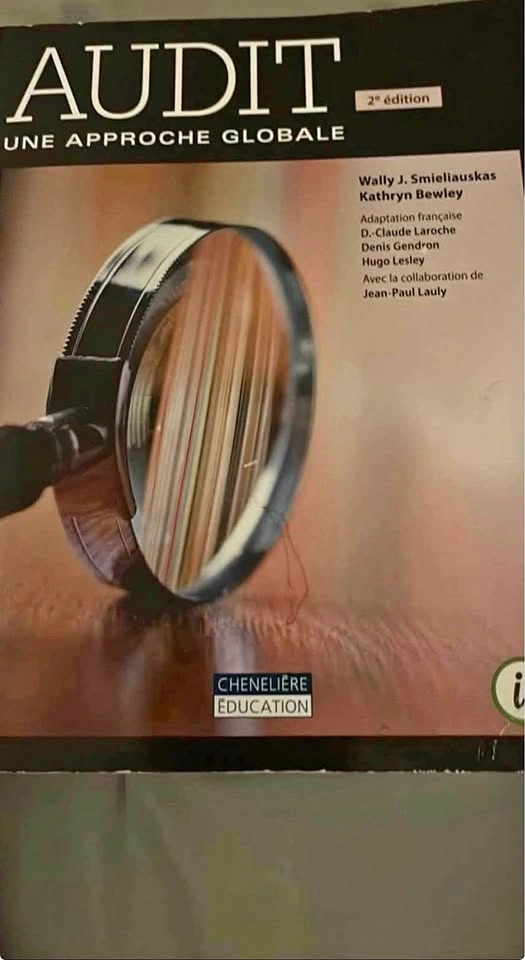 AUDIT UNE APPROCHE GLOBALE 2nd edition