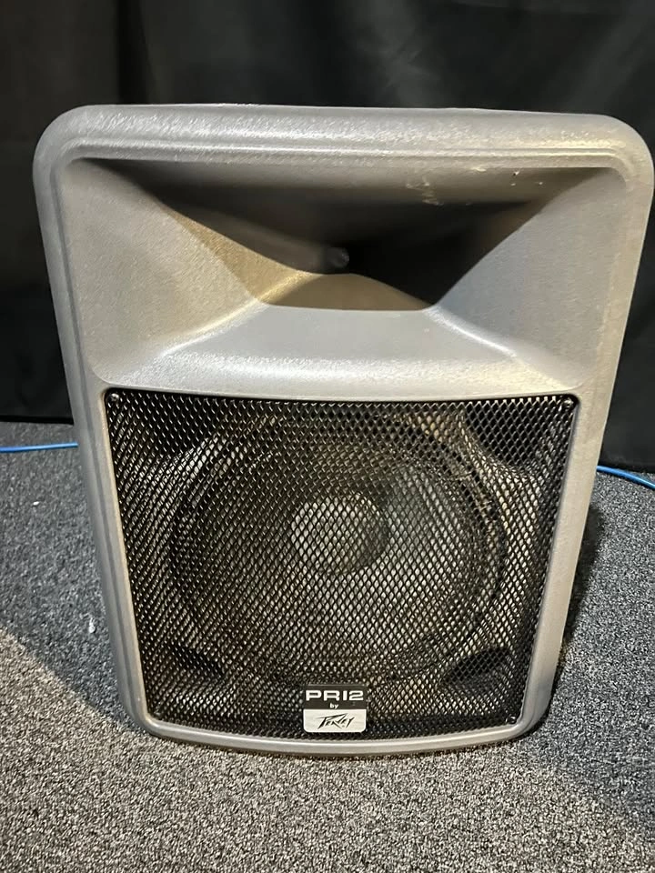 Peavey PR12 Powered Two-Way PA Speaker / Monitor - photo 2