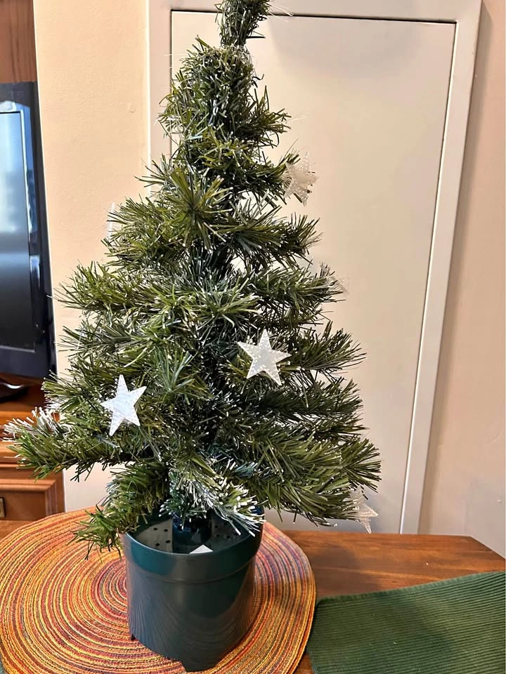 Small Christmas Tree with lights