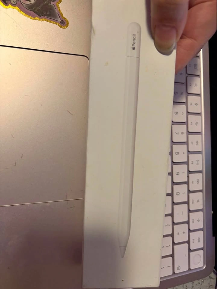 Apple Pencil Type C