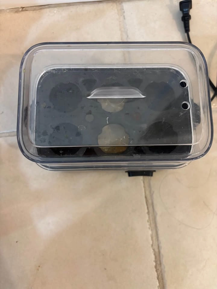 MOVING SALE evoloop Egg Cooker - photo 3