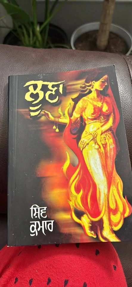 Punjabi book- Luna