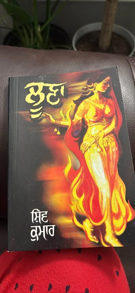 Punjabi books - photo 2