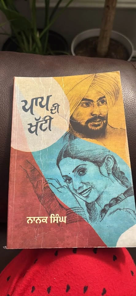 Punjabi books - photo 3