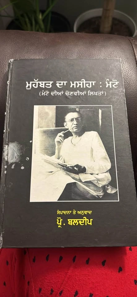 Punjabi books - photo 4