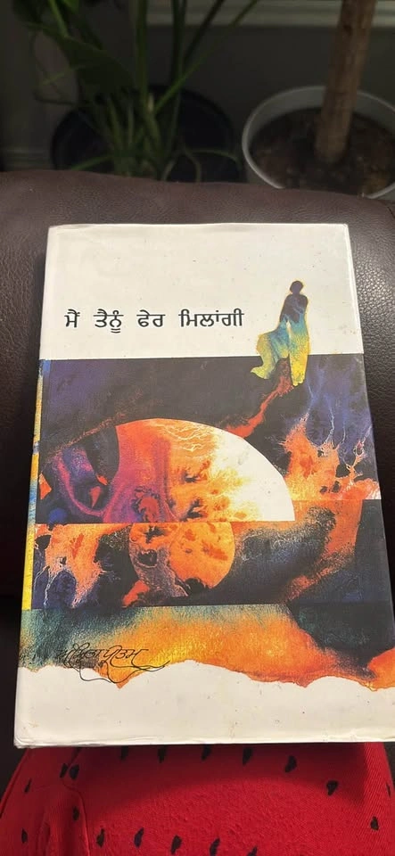 Punjabi books - photo 5