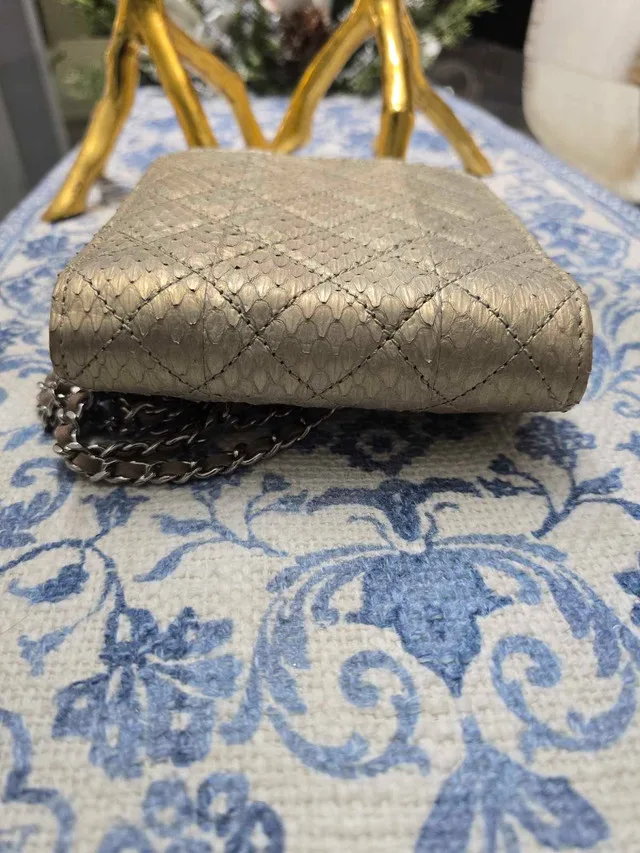 Chanel python wallet on chain (womens) image indicator(2)