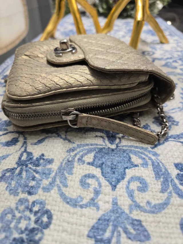 Chanel python wallet on chain (womens) image indicator(10)