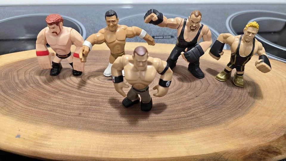 Wrestling toy lot