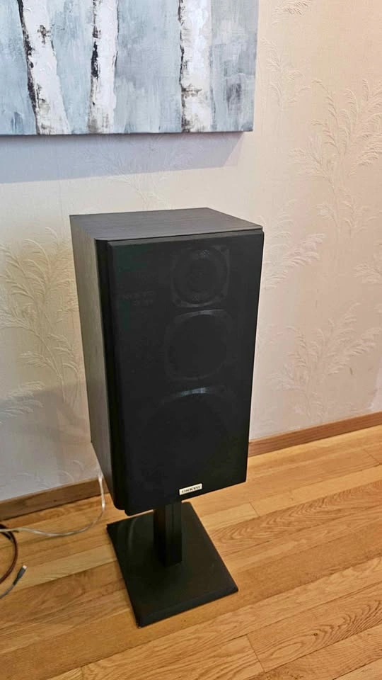 Onkyo D-33 speakers