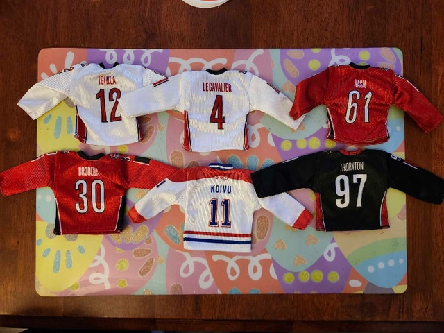 Mini Hockey Jerseys - photo 2