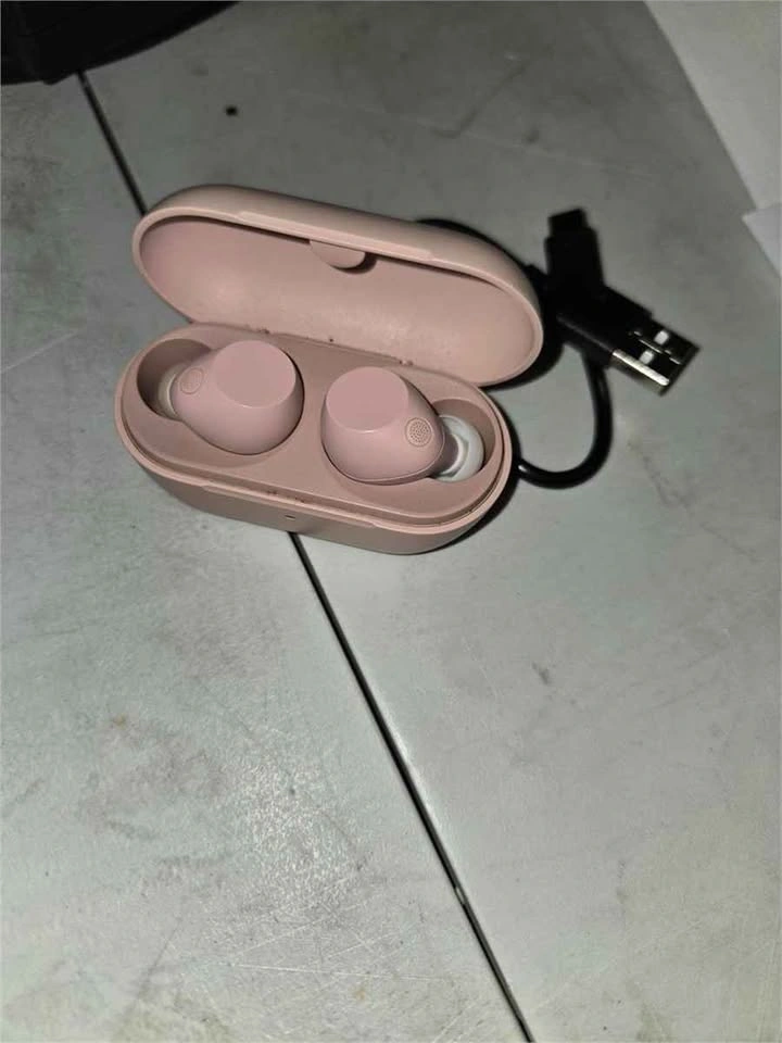 Sony Wireless Bluetooth Earbuds w/Case - photo 3