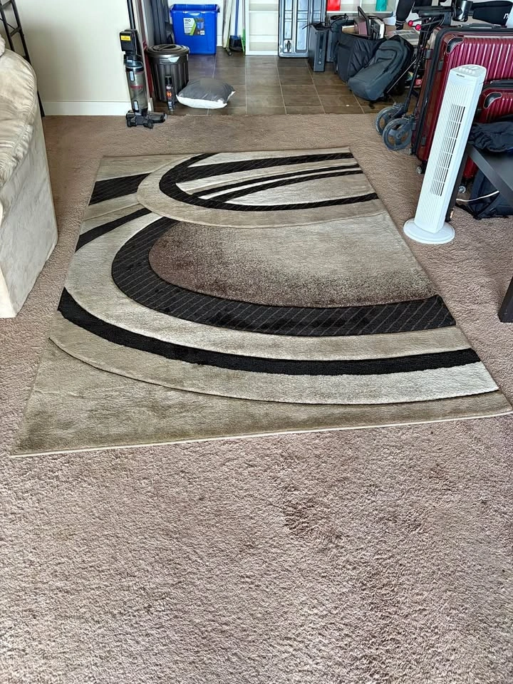 160x230 Swirl Area Rug