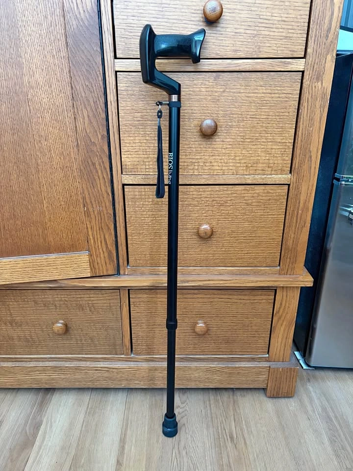 Walking Stick/Prop
