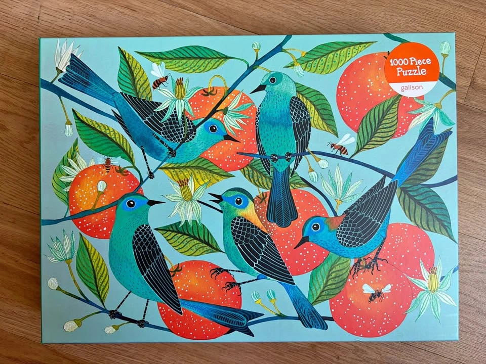 New Galison 1000pc Puzzle Naranjas