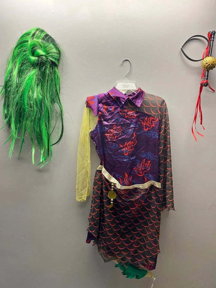 Monster High Halloween Costume
