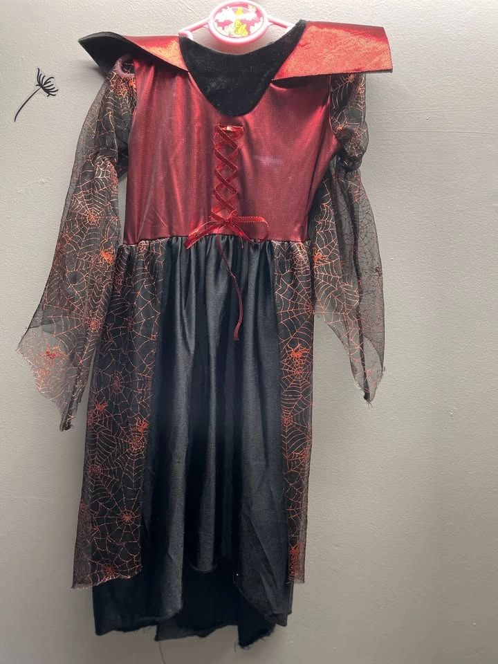 Spider Queen Halloween Costume