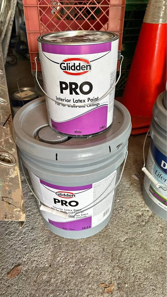 Paint New Full Pail and Full Gallon Flat White