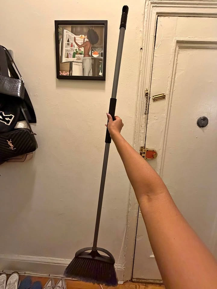 Free Items in Prospect Park South!