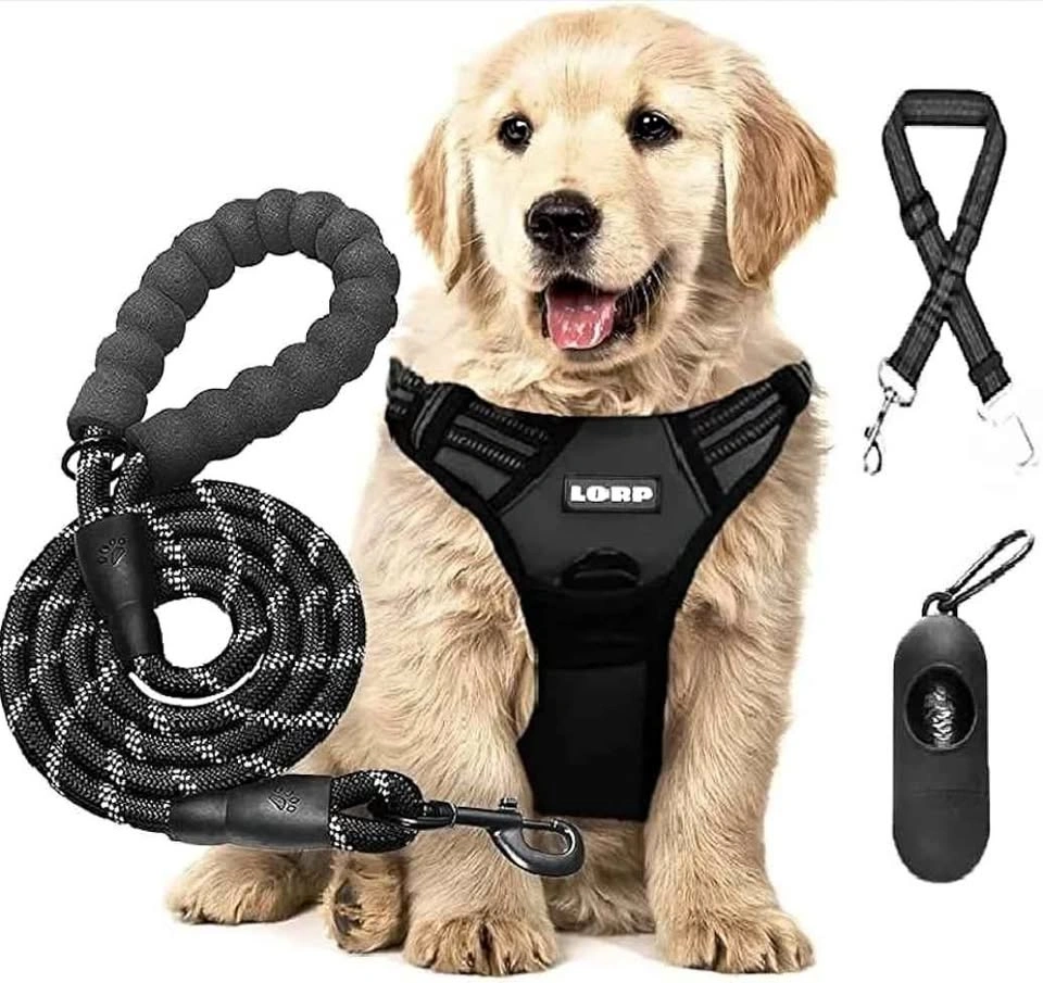 Dog harness and leash set
