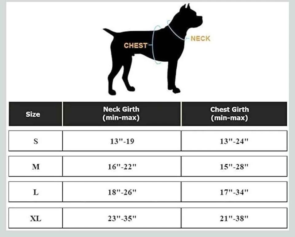 Dog harness and leash set - photo 4