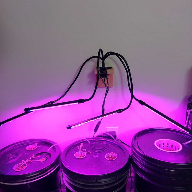 LED grow lights