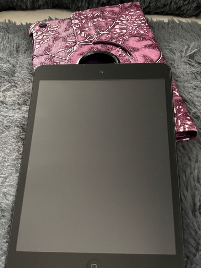 iPad mini