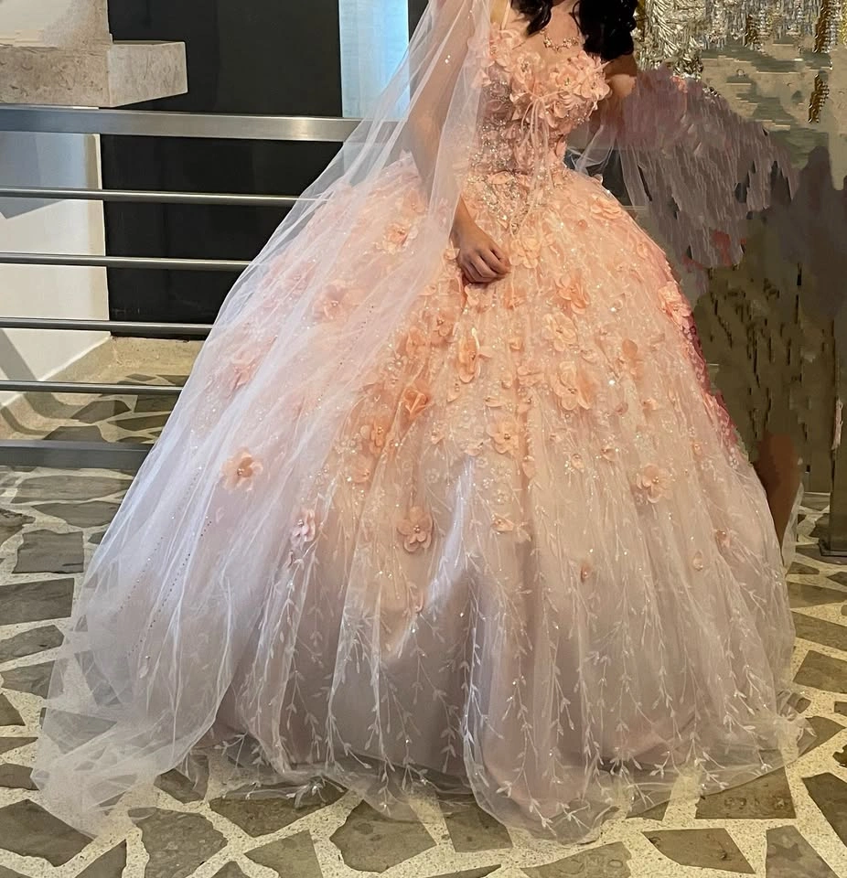 Dream Quinceañera Dress - photo 2