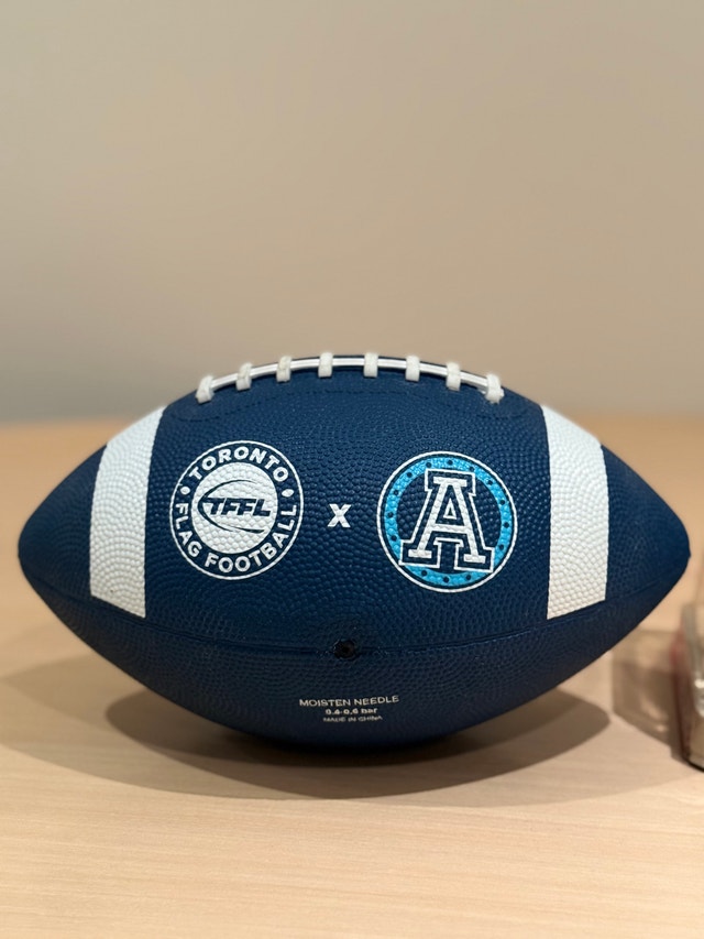 Toronto Argonauts Football and Riddell Mini Helmet - photo 3