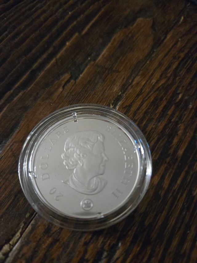 Royal Canadian Mint 2008 $20 Fine Silver Crystal Snowflake Coin - photo 4