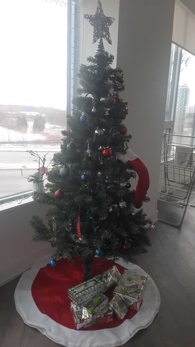 Christmas tree with decoration and lights