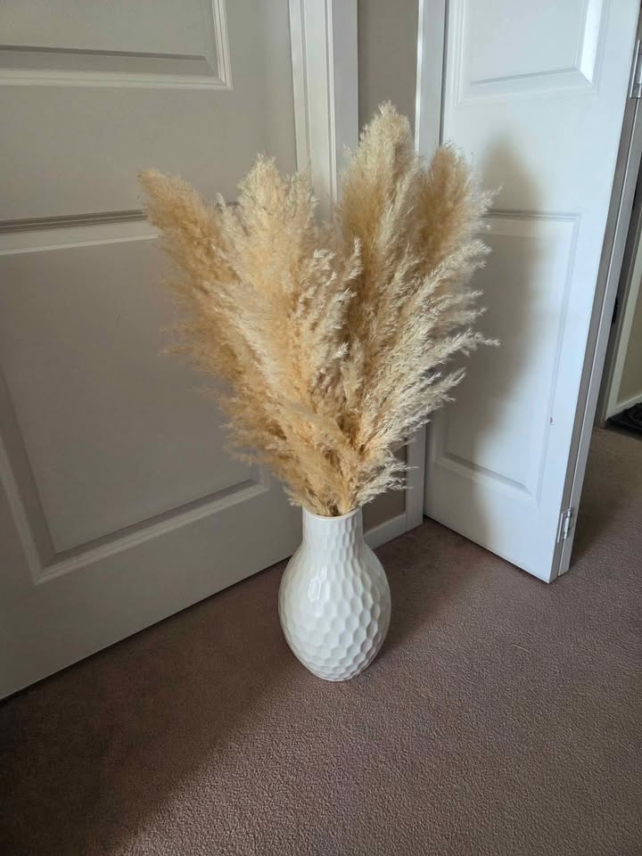 Pampas grass - photo 3