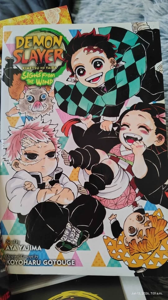 Demon Slayer manga 1-23 box set with poster and mini book - photo 2