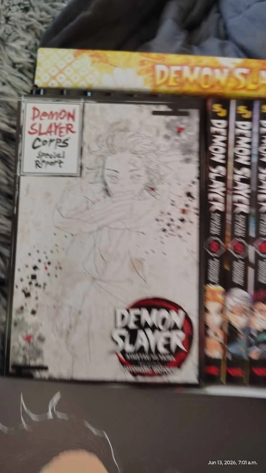 Demon Slayer manga 1-23 box set with poster and mini book - photo 4