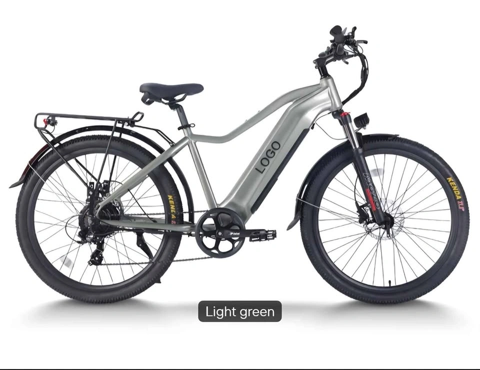 Light green fat tire e-bike with suspension - photo 4