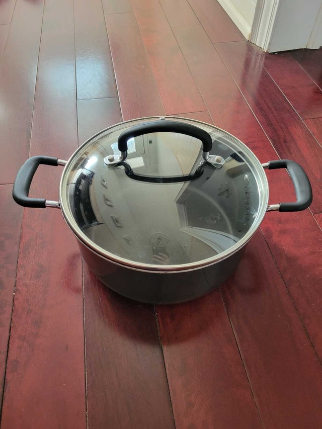 T-fal Pot