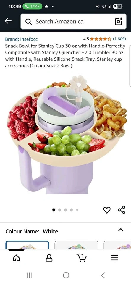 Snack Bowl Stanley Bowl