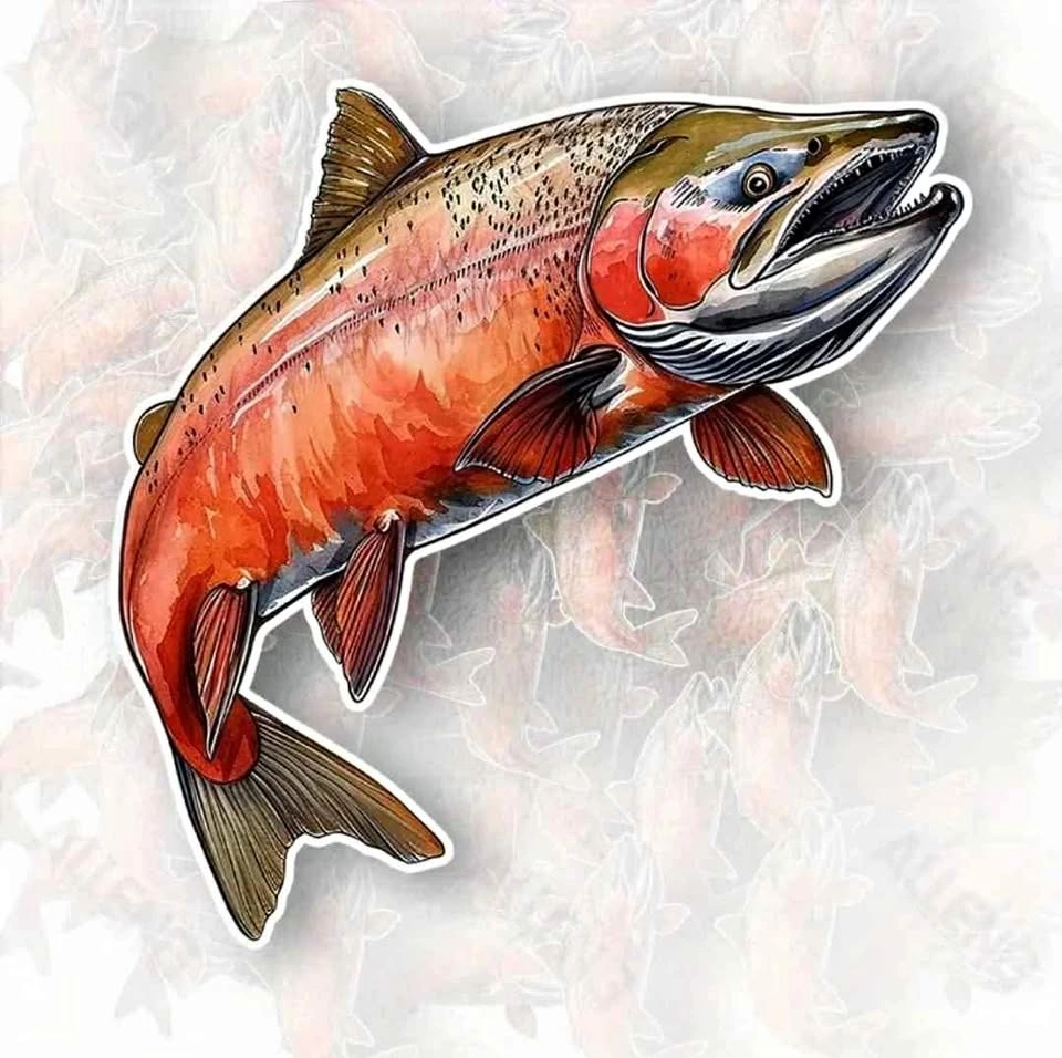 Salmon Vinyl Sticker Decal - 5.47'' x 5.51''