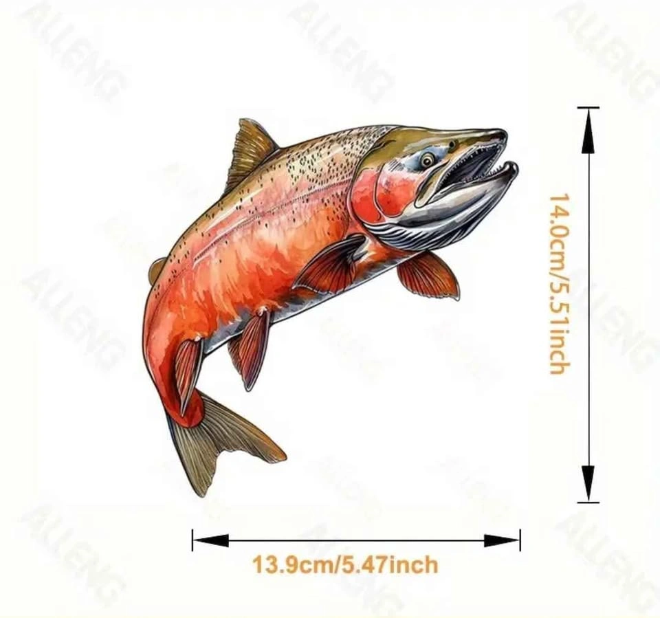 Salmon Vinyl Sticker Decal - 5.47'' x 5.51'' - photo 2