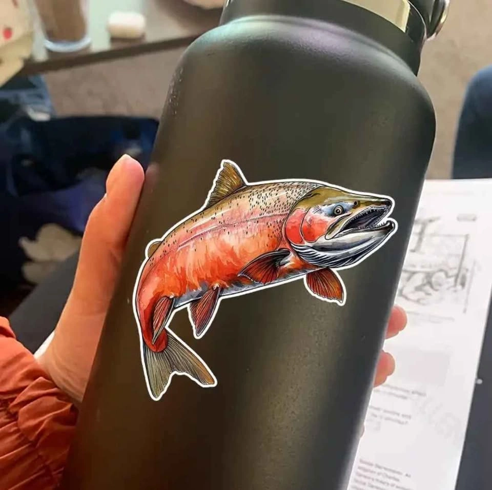 Salmon Vinyl Sticker Decal - 5.47'' x 5.51'' - photo 5