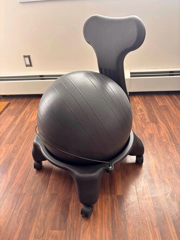 Stability Ball Desk Chair with Wheels & Back Support