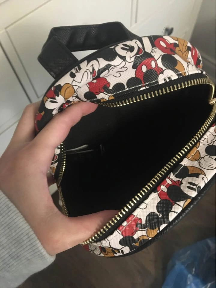 Mickey Mouse small backpack pick up in Brampton - photo 2