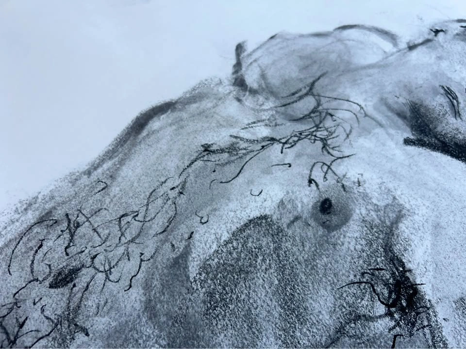 Charcoal Figure Drawing - Original - Wall Art - 24” x 18” - photo 4